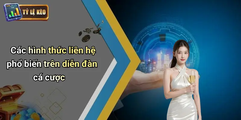 Liên Hệ 3 Liên Hệ