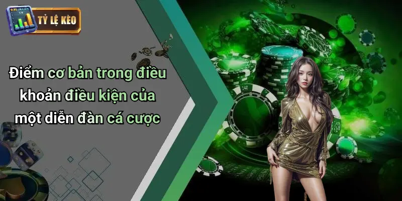 Điều Khoản Điều Kiện