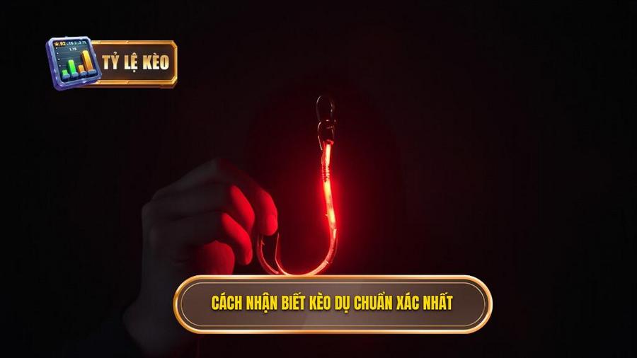 Cách nhận biết kèo dụ chuẩn xác nhất
