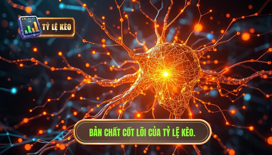 Bản chất của tỷ lệ kèo: Không chỉ là những con số vô tri